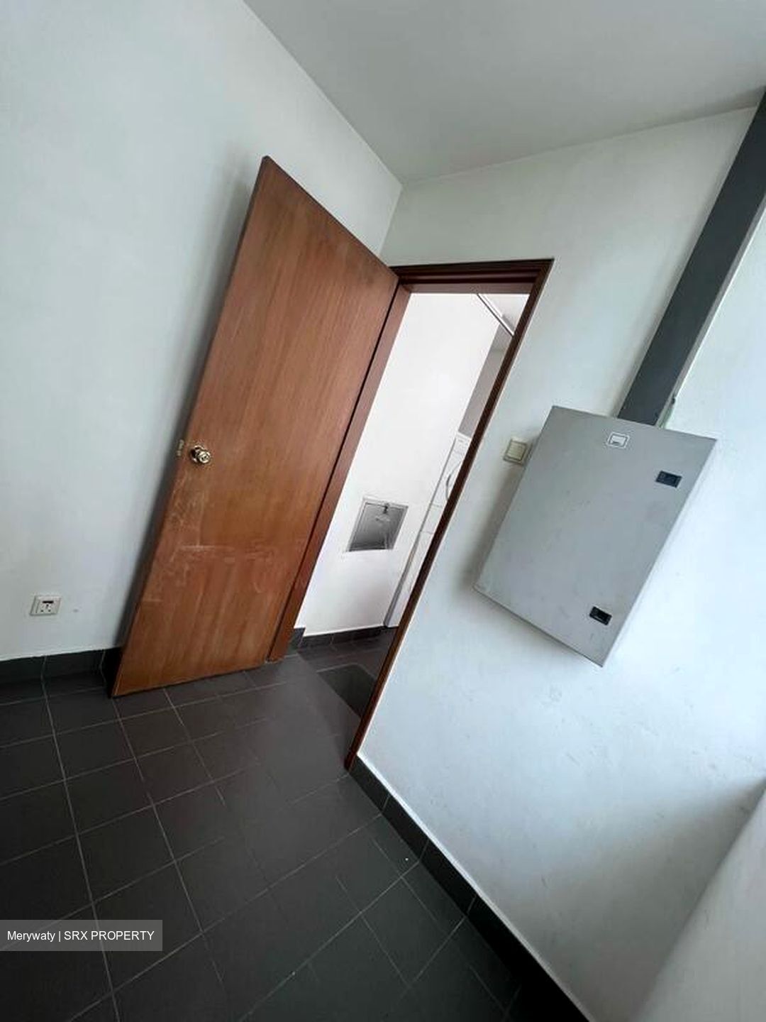 The Balmoral Spring (D10), Apartment #498467581